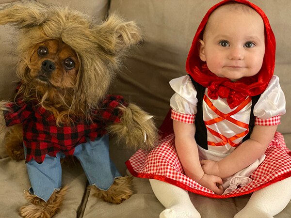 Little Red Riding Hood and the Big Bad Wolf